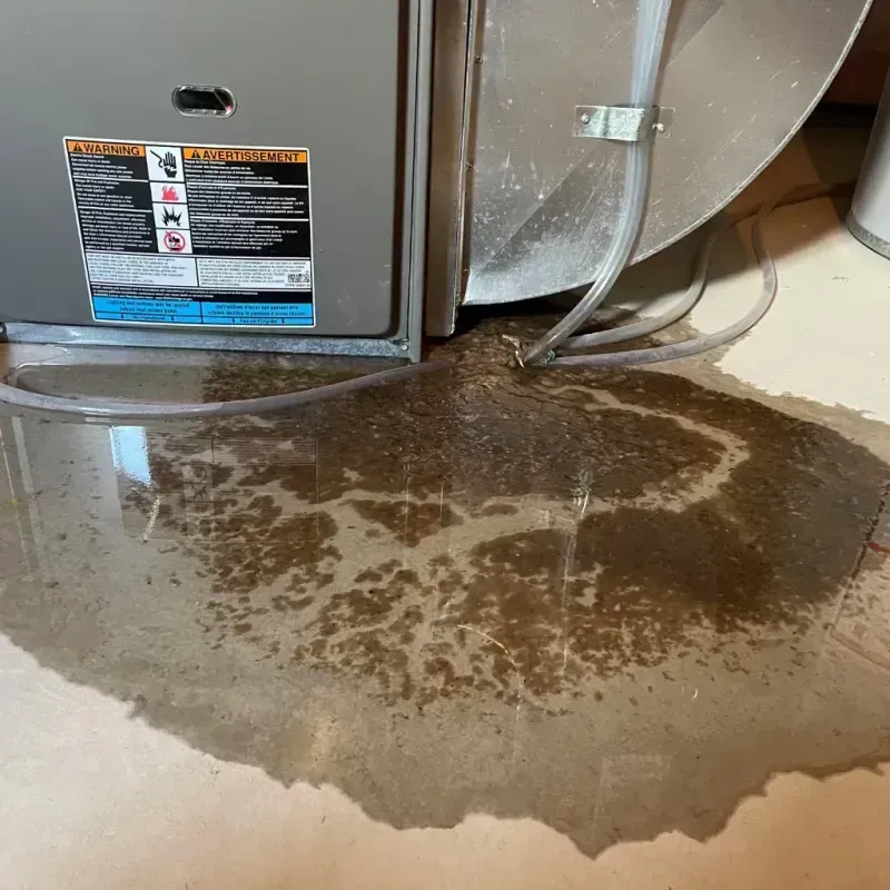 Appliance Leak Cleanup in Meadowdale, WA